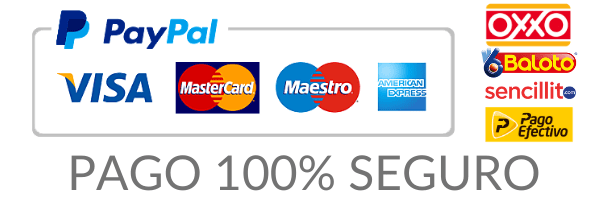 PAGO-100-SEGURO